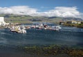 Harbor of Djupivogur town in the Austurland in eastern Iceland